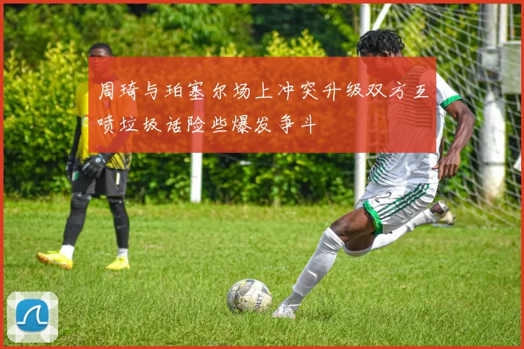 周琦与珀塞尔场上冲突升级双方互喷垃圾话险些爆发争斗