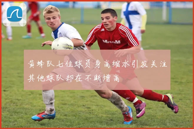 黄蜂队七位球员身高缩水引发关注其他球队却在不断增高