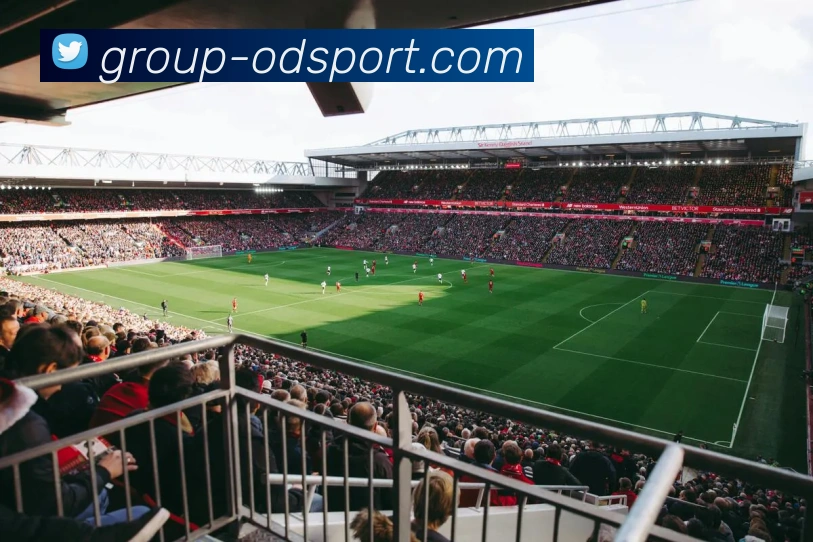 OD体育平台生态图